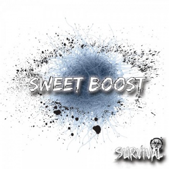 Sweet-Boost by Survival - Arôme concentré DIY