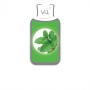 E-Liquide VDLV Menthe - Flacon 10ml